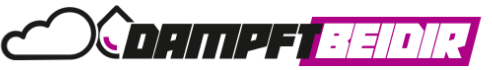 dampftbeidir.de