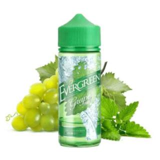 Evergreen Aroma - Grape Mint