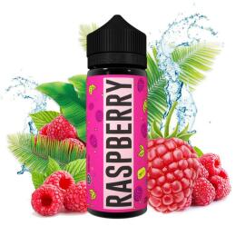 Vovan Liquid - Raspberry 100ml