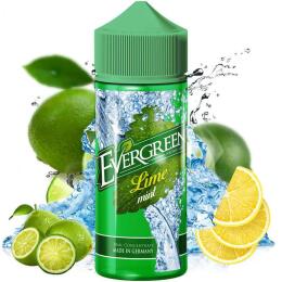 Evergreen Aroma - Lime Mint