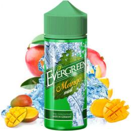 Evergreen Aroma - Mango Mint
