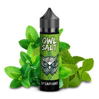 OWL Salt Aroma - Spearmint