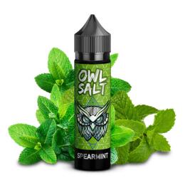 OWL Salt Aroma - Spearmint